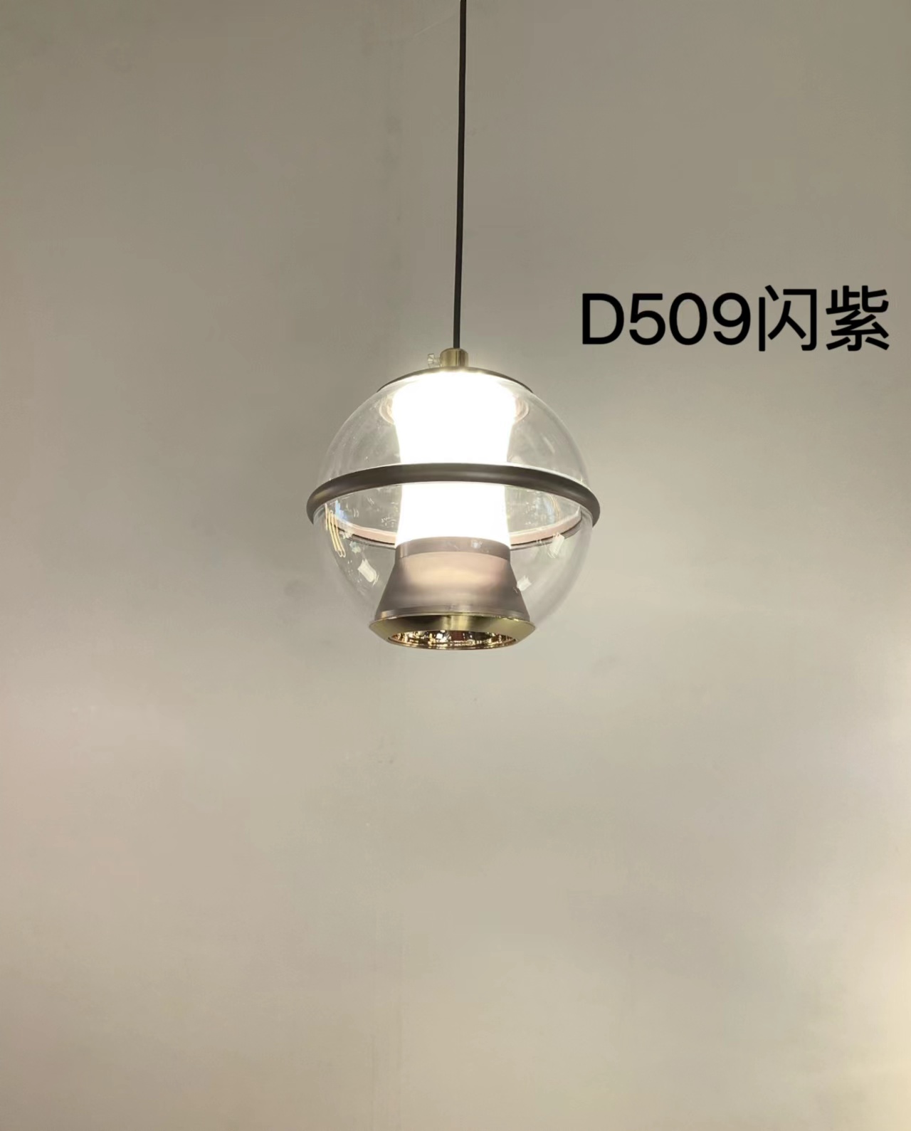 DS-D509