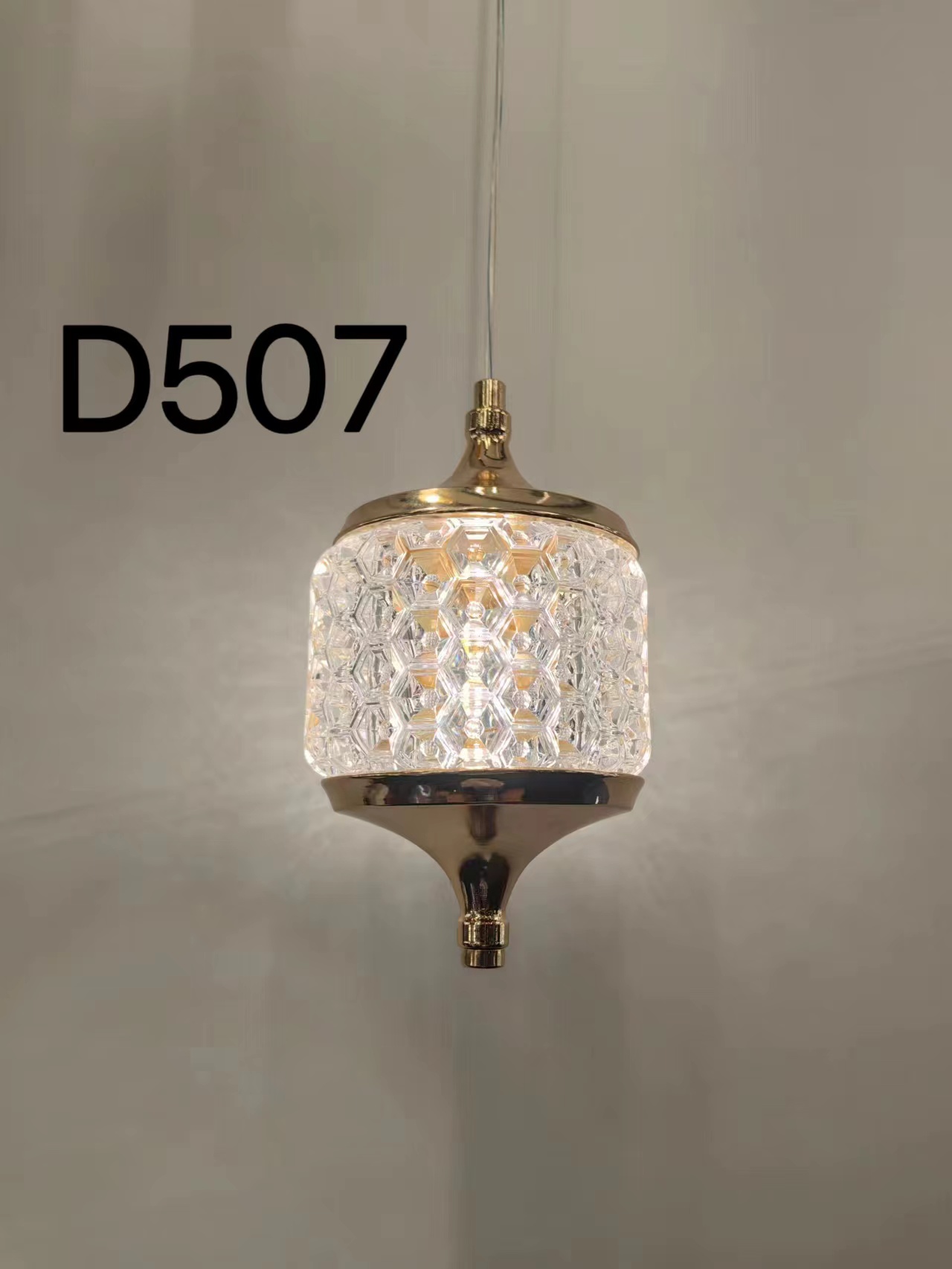 DS-D507